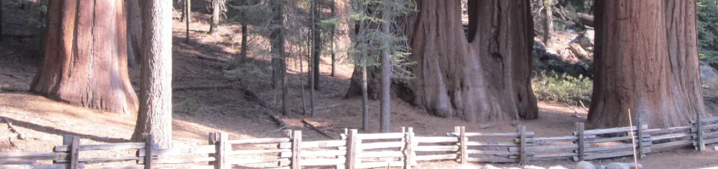 Bright Angel Campground (Grand Canyon NP)