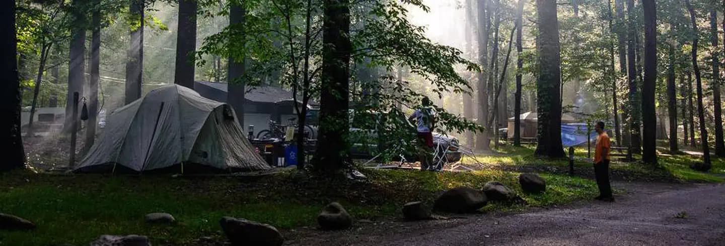 Elkmont Campground (Great Smoky Mountains NP)