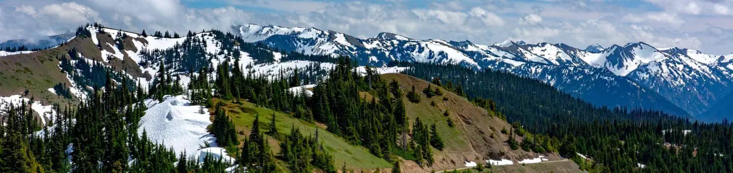 Olympic National Park Coastal Wilderness