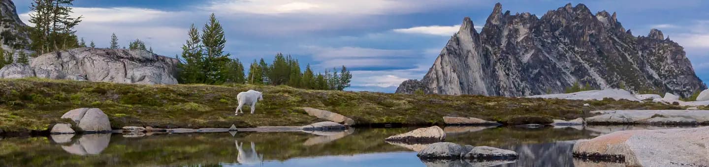 The Enchantments