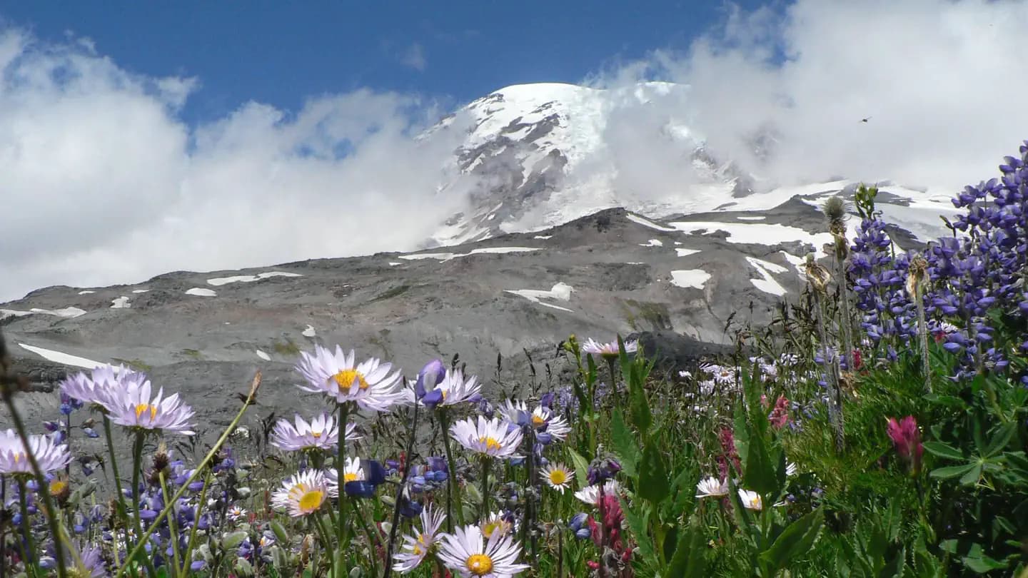 Mt. Rainier Wilderness (Wonderland Trail)