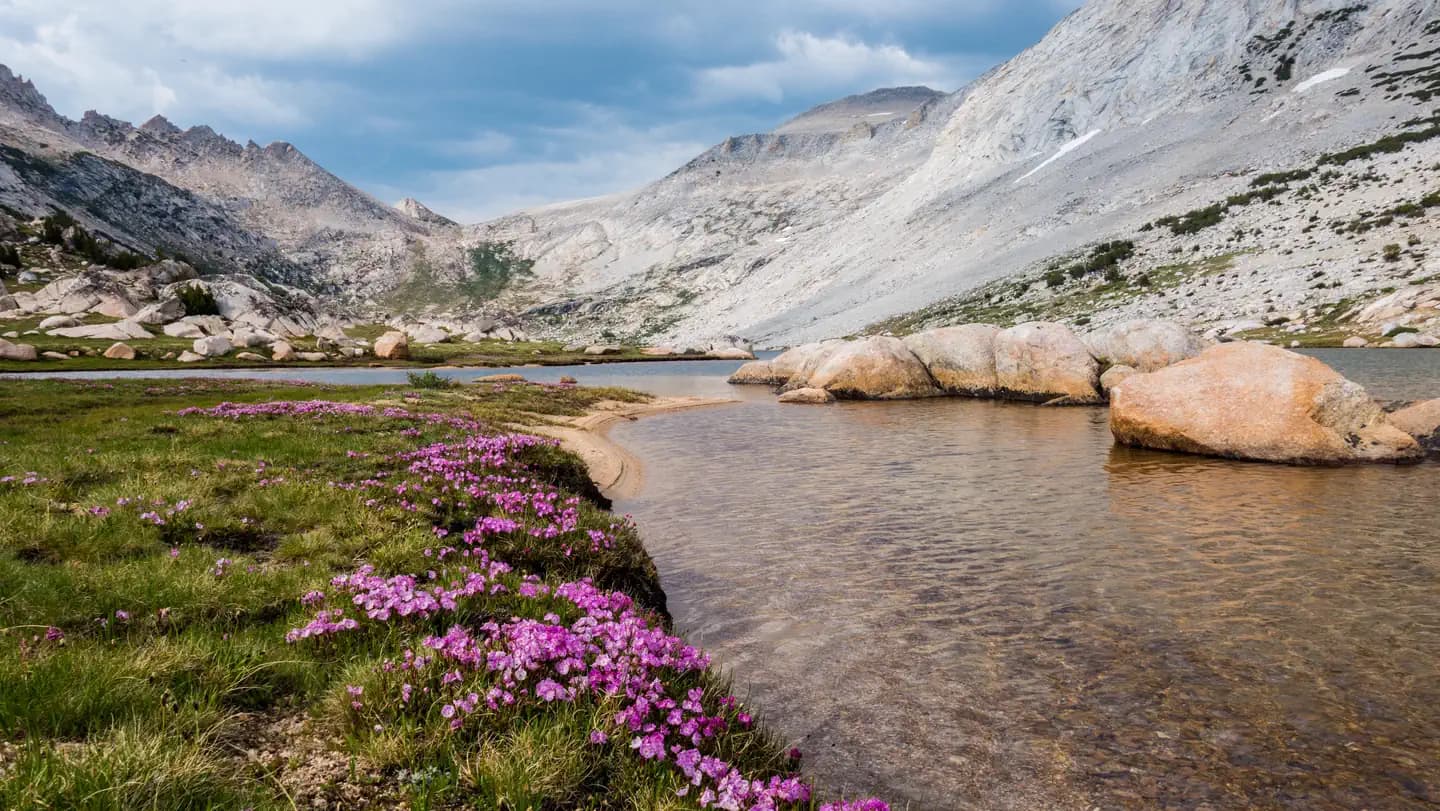 Yosemite Wilderness (JMT Corridor)