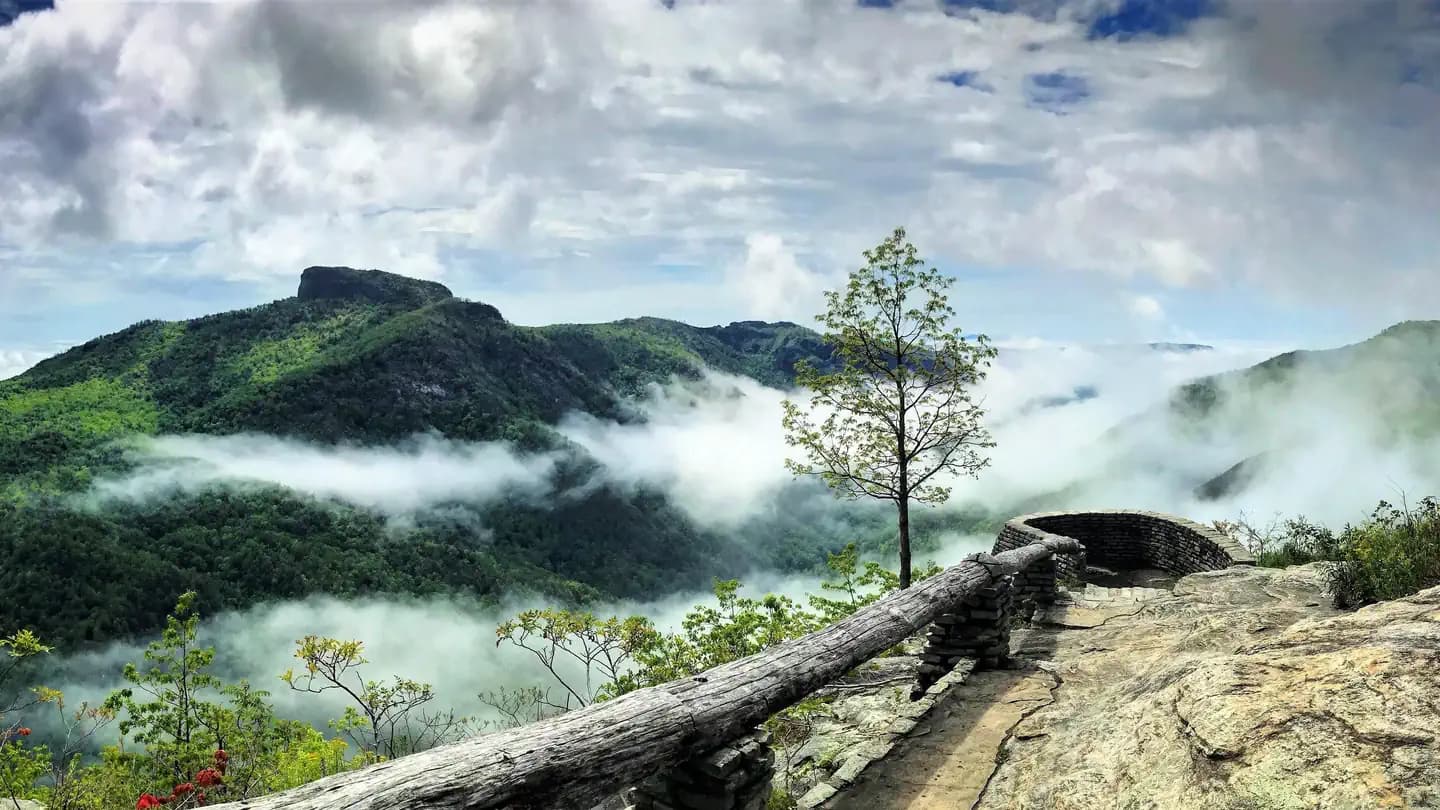 Linville Gorge Wilderness