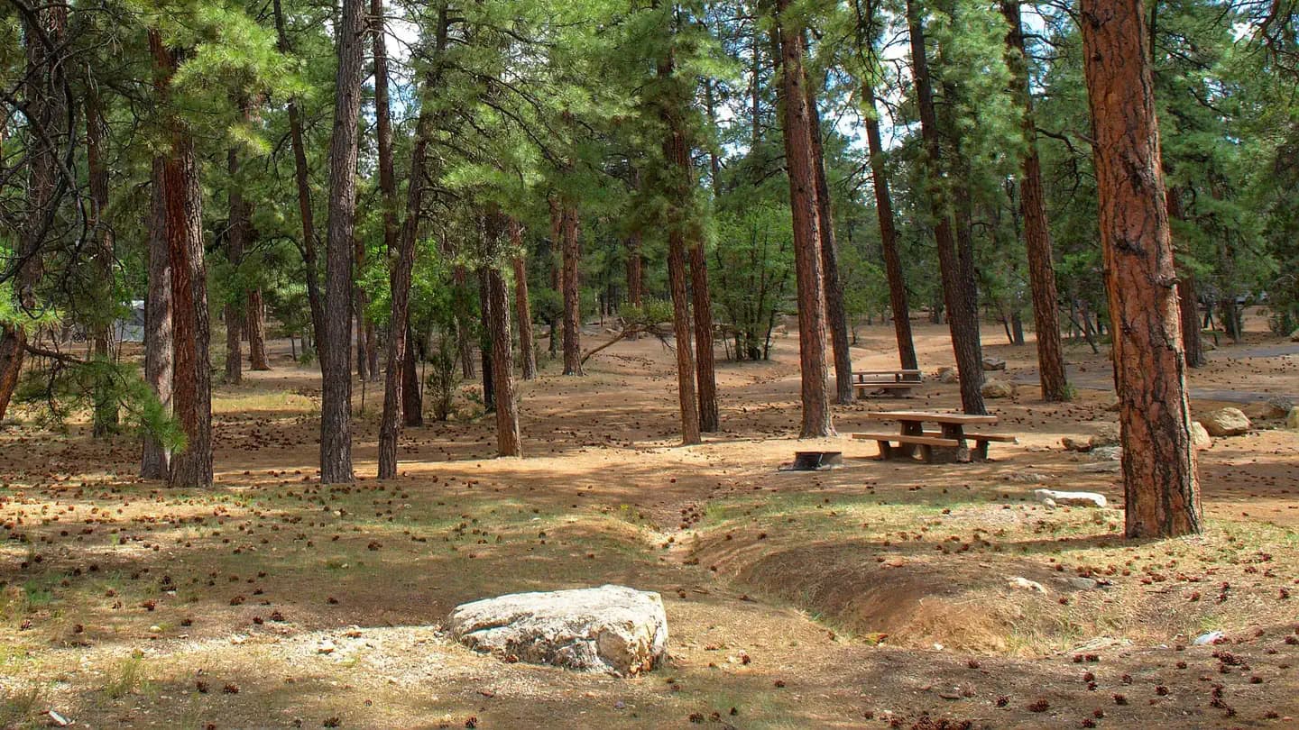 Mather Campground (Grand Canyon South Rim)