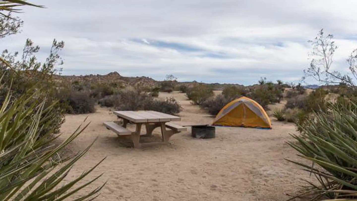 Cottonwood Campground (Joshua Tree NP)