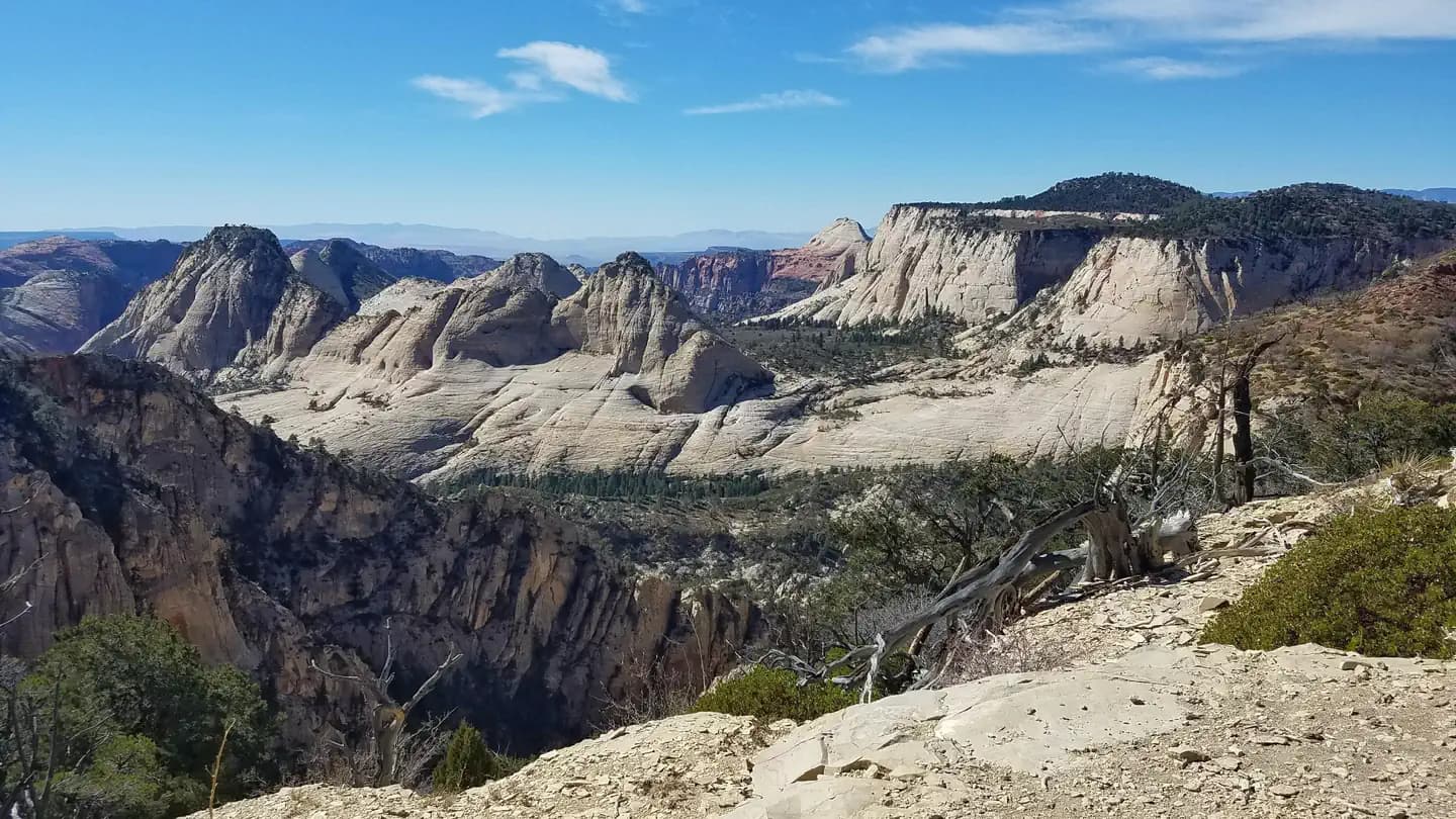 Zion Wilderness