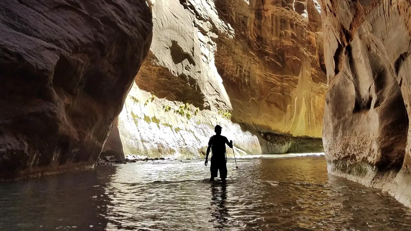 Zion Narrows (Top-Down)