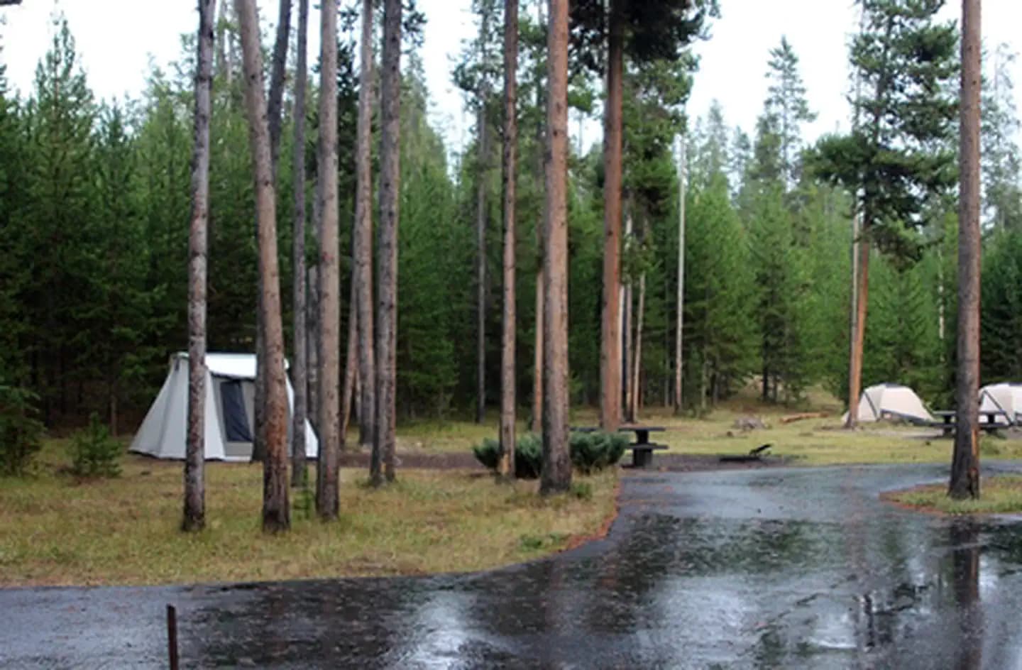 Madison Campground (Yellowstone)